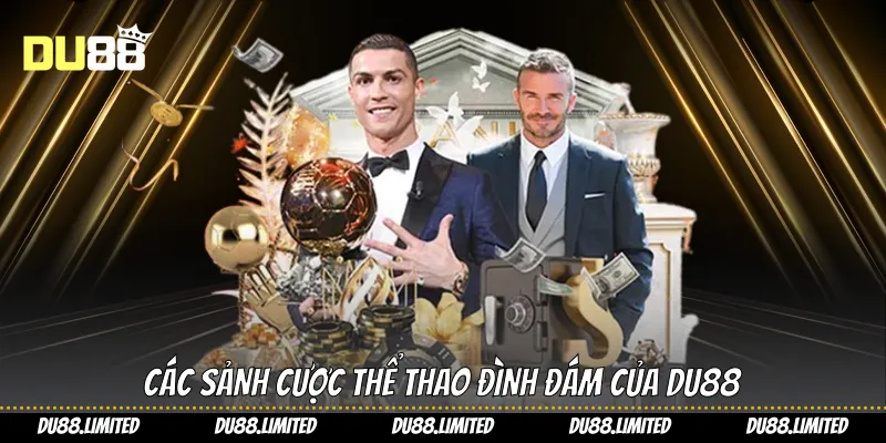 Các sảnh cược thể thao đình đám của Du88