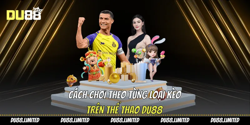 Cách chơi theo từng loại kèo trên thể thao Du88