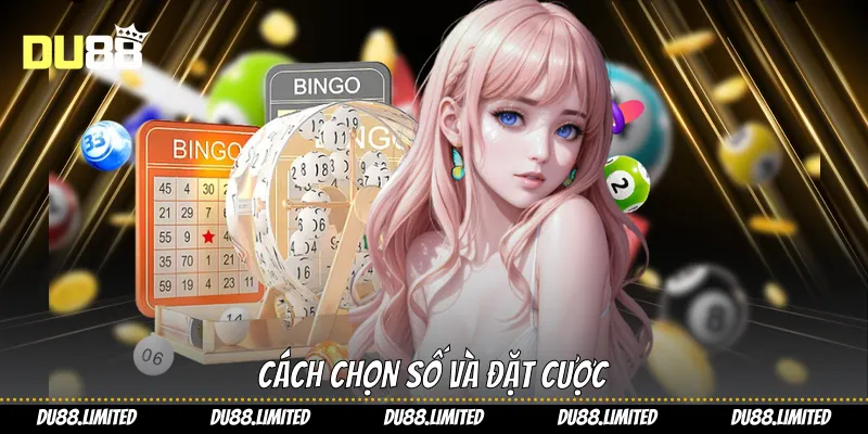 Cách chọn số và đặt cược
