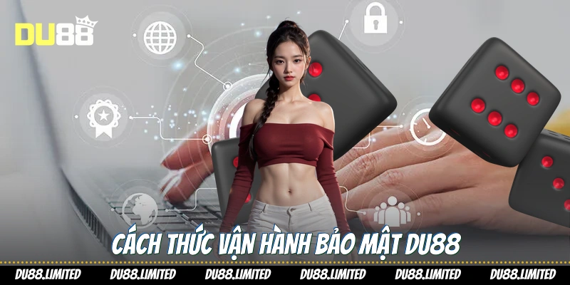 Cách thức vận hành bảo mật Du88