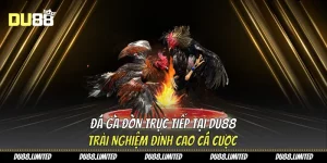 Đá gà đòn trực tiếp