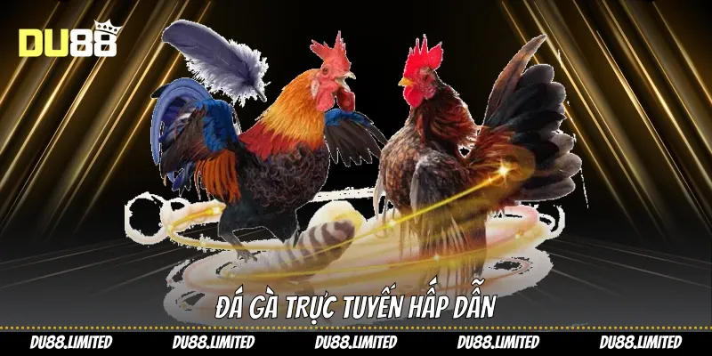 Đá gà trực tuyến hấp dẫn