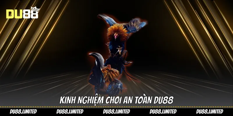 Kinh nghiệm chơi an toàn Du88