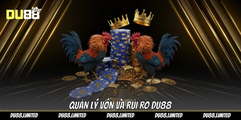 Quản lý vốn và rủi ro Du88