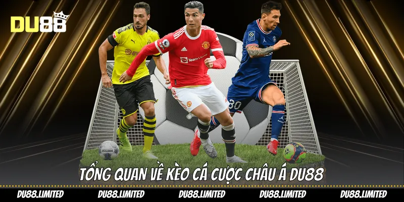 Tổng quan về kèo cá cược châu Á Du88